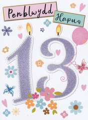 Penblwydd Hapus - 13