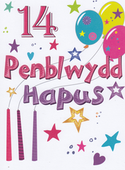 Penblwydd Hapus - 14