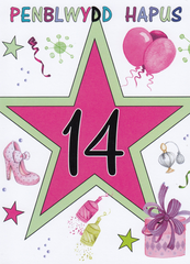 Penblwydd Hapus - 14