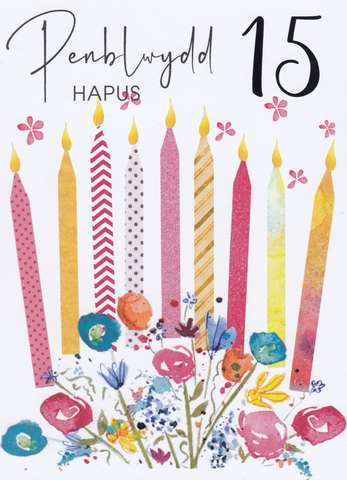 Penblwydd Hapus - 15
