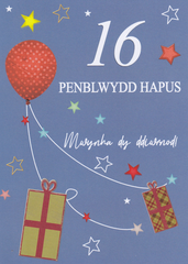 Penblwydd Hapus - 16