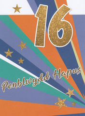 Penblwydd Hapus - 16