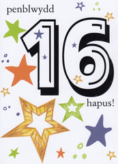 Penblwydd Hapus - 16