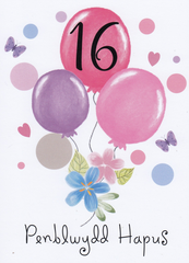 Penblwydd Hapus - 16