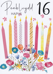 Penblwydd Hapus - 16