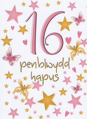 Penblwydd Hapus - 16