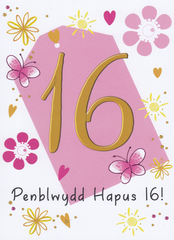 Penblwydd Hapus - 16