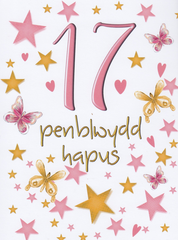 Penblwydd Hapus - 17