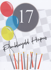 Penblwydd Hapus - 17