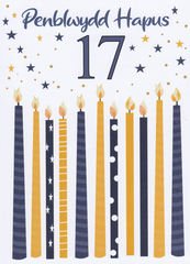 Penblwydd Hapus - 17