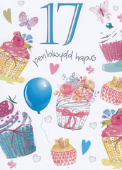 Penblwydd Hapus - 17