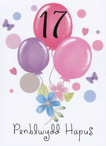 Penblwydd Hapus - 17