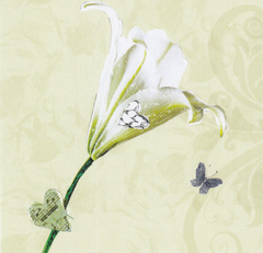 Flower Tiny Card|Cerdyn Bach - Blodyn