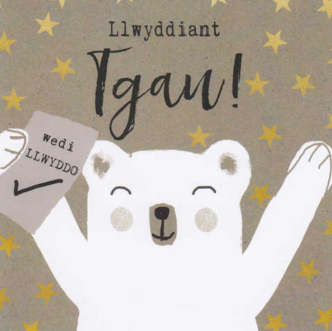 Llwyddiant TGAU