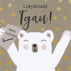 Llwyddiant TGAU