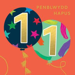 Penblwydd Hapus 11