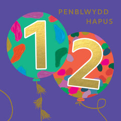 Penblwydd Hapus 12