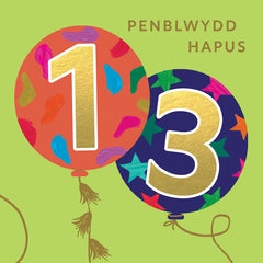 Penblwydd Hapus 13