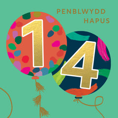 Penblwydd Hapus 14
