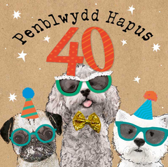 Penblwydd Hapus 40