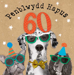 Penblwydd Hapus 60