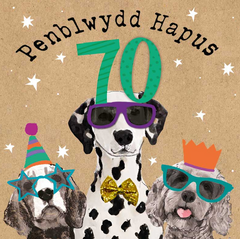 Penblwydd Hapus 70