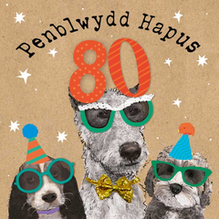 Penblwydd Hapus 80