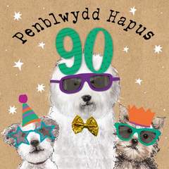 Penblwydd Hapus 90
