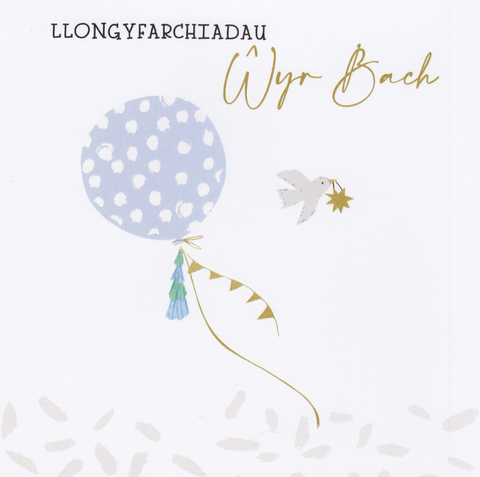 Llongyfarchiadau, Ŵyr Bach