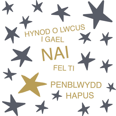 Hynod o Lwcus i gael Nai fel ti, Penblwydd Hapus