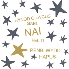 Hynod o Lwcus i gael Nai fel ti, Penblwydd Hapus