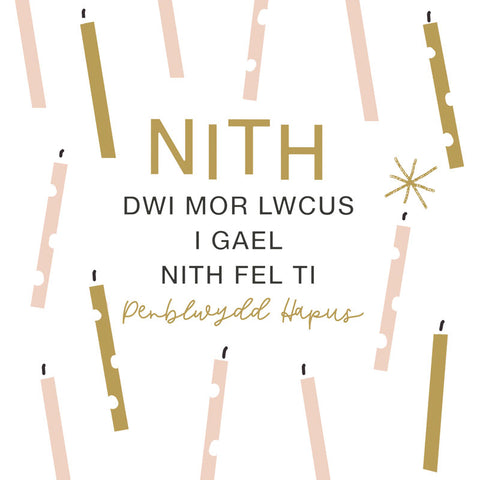 Nith, dwi mor lwcus i gael Nith fel ti, Penblwydd Hapus