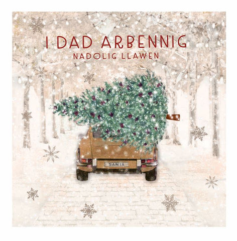 I Dad Arbennig, Nadolig Llawen