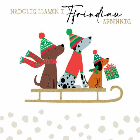 Nadolig Llawen i Ffrindiau Arbennig