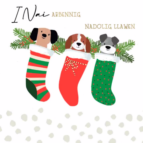 I Nai Arbennig, Nadolig Llawen