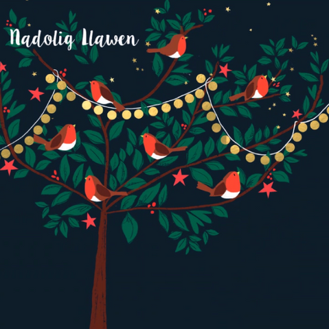 Nadolig Llawen (pack) |Nadolig Llawen (pecyn)
