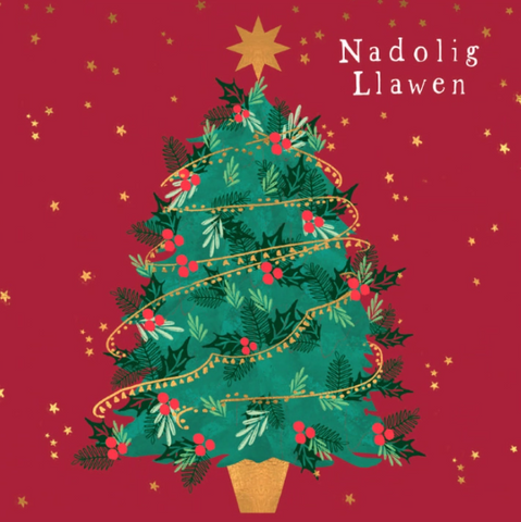 Nadolig Llawen (pack) |Nadolig Llawen (pecyn)