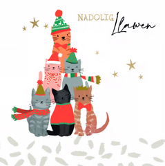 Nadolig Llawen (pack) |Nadolig Llawen (pecyn)