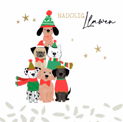 Nadolig Llawen (pack) |Nadolig Llawen (pecyn)