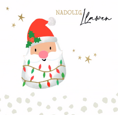 Nadolig Llawen (pack) |Nadolig Llawen (pecyn)