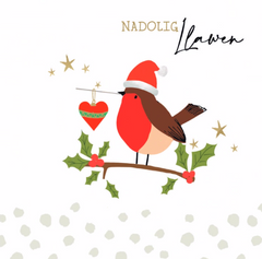 Nadolig Llawen (pack) |Nadolig Llawen (pecyn)