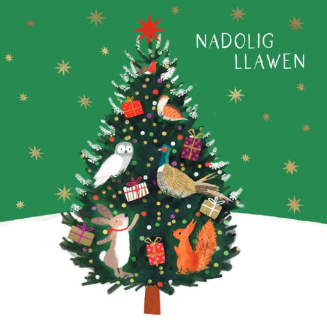Nadolig Llawen (pack) |Nadolig Llawen (pecyn)