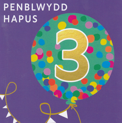 Penblwydd Hapus 3
