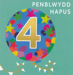 Penblwydd Hapus 4