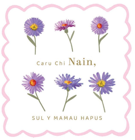 Caru Chi Nain, Sul y Mamau Hapus