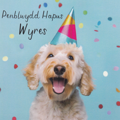 Penblwydd Hapus Wyres