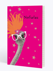 Nodiadau