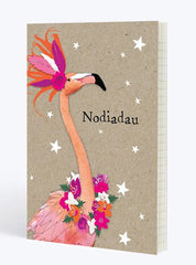 Nodiadau