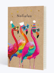 Nodiadau