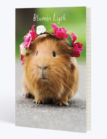 Blwmin Lysh